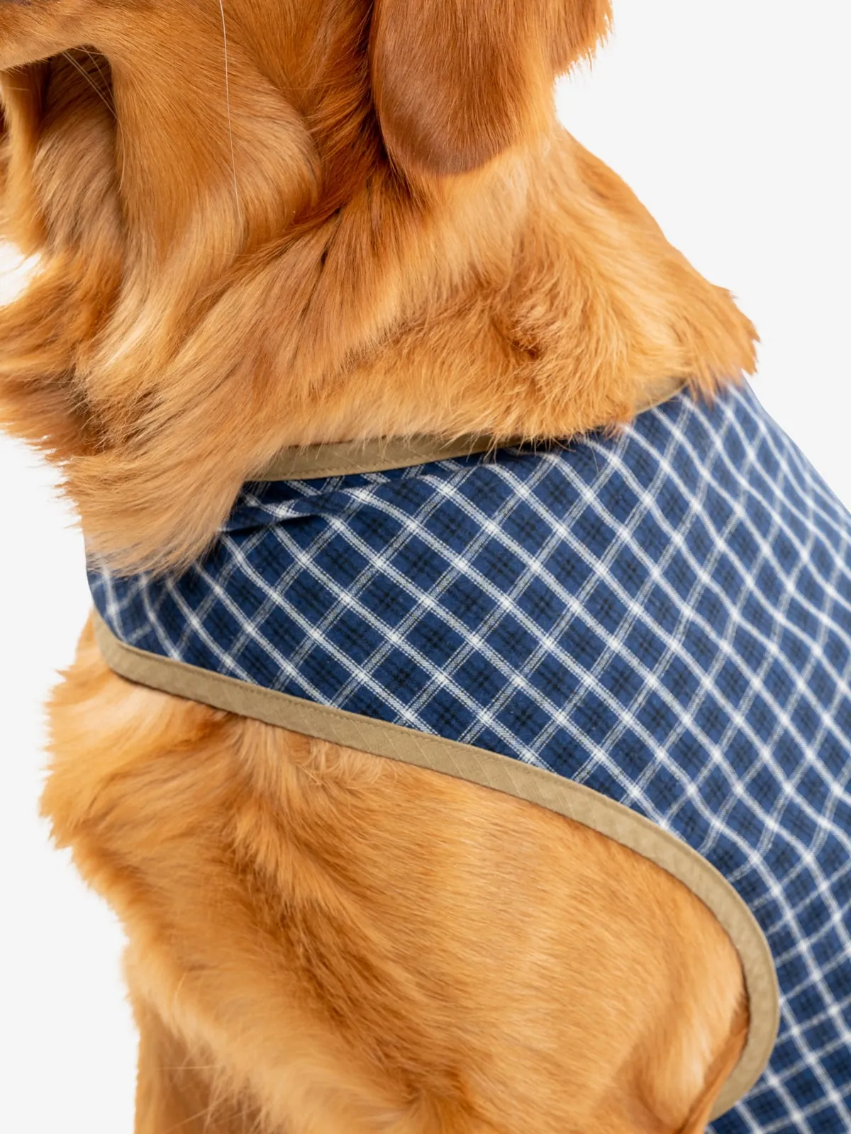 Insect Shield Plaid Pet Vest