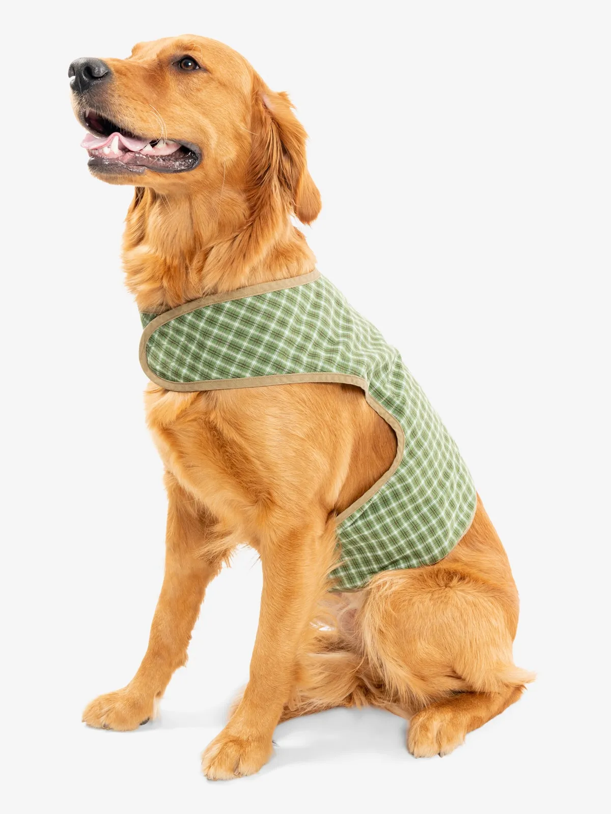 Insect Shield Plaid Pet Vest