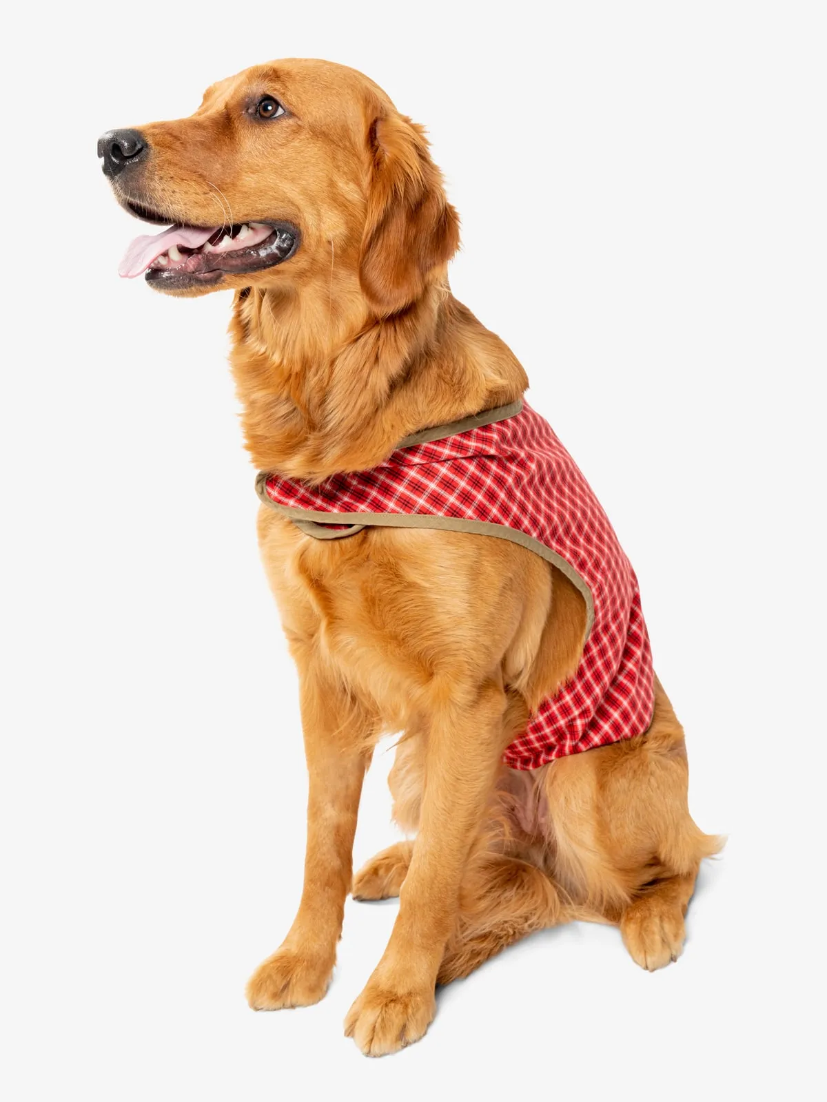 Insect Shield Plaid Pet Vest