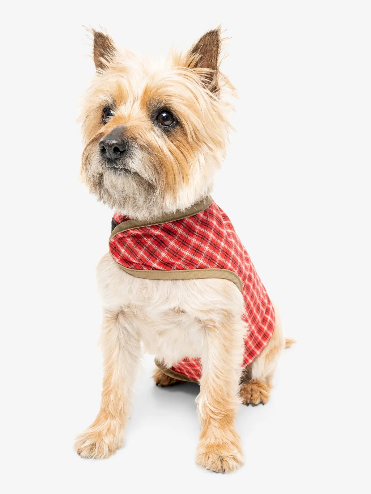 Insect Shield Plaid Pet Vest