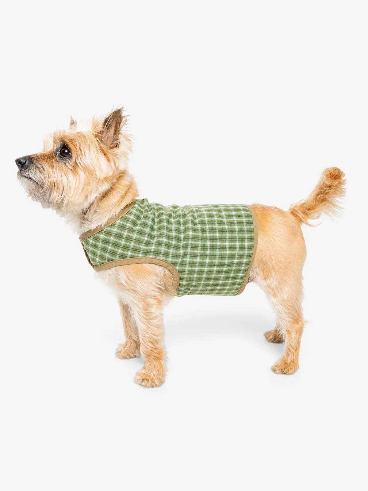 Insect Shield Plaid Pet Vest