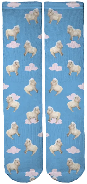 Limited Edition Teddy The Shetland Crew Socks